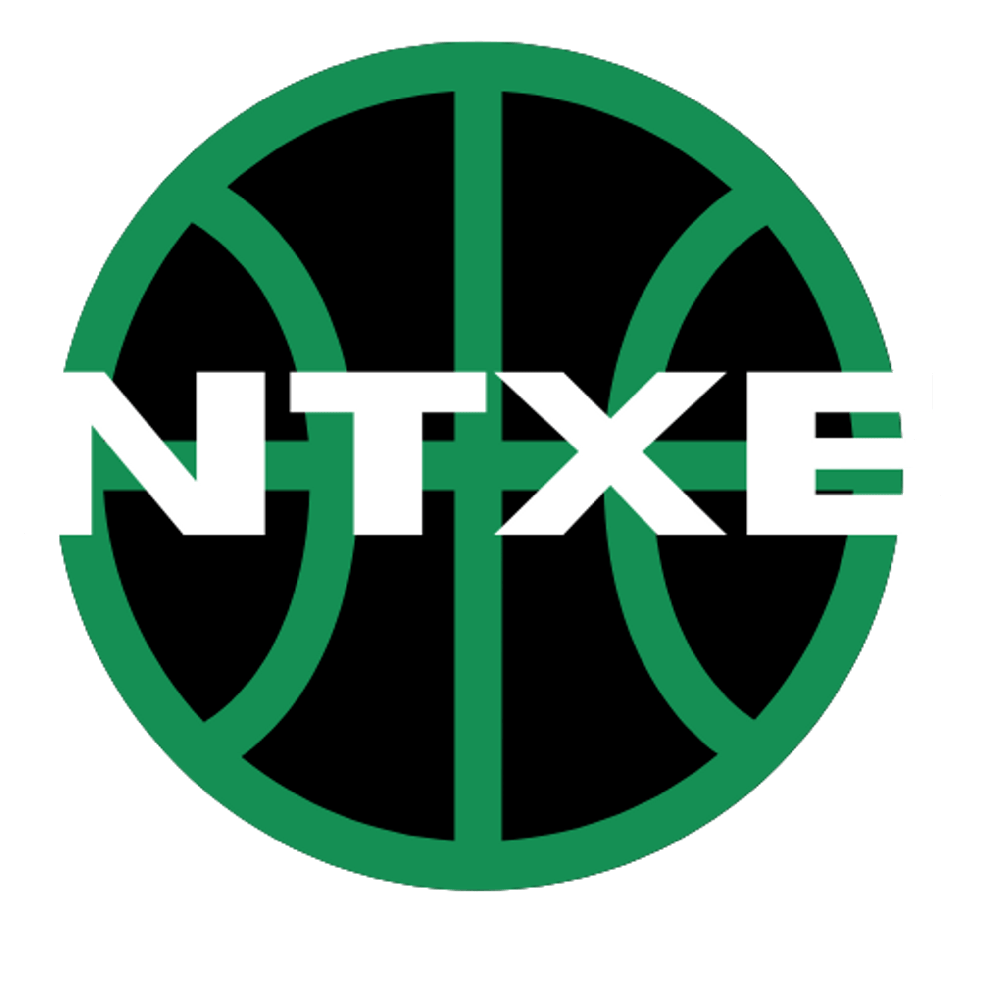North Texas Evolution Basketball | undefined Logo
